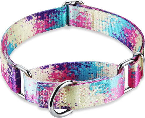 Martingale Dog Collars Colourful Oil painting Pattern series - No Pull Pet Collar Silky Soft for Medium and Large Dogs (Small, 5/8 Inch Wide, Profusion colorful)