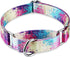 Colourful Oil Painting Pattern Martingale Dog Collars - No Pull Silky Soft Pet Collar for Medium and Large Dogs