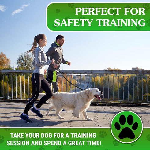Heavy Duty Dog Leash 4-6Ft Length – Reflective Bungee Leash for Medium, Large Dogs with Traffic Control Handle