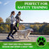 Heavy Duty Dog Leash 4-6Ft Length – Reflective Bungee Leash for Medium, Large Dogs with Traffic Control Handle