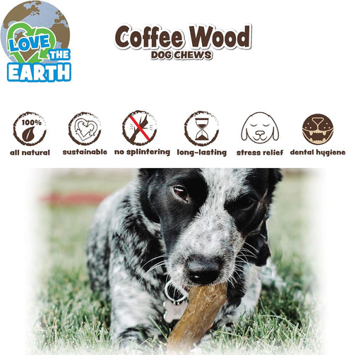 SPOT Coffee Wood Dog Chew Toy - 100% Natural Non-Splintering Wood for Aggressive Chewers, Durable for Medium Dogs and