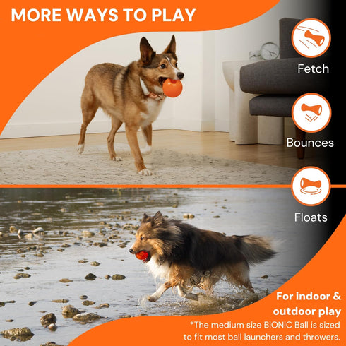 BIONIC Ball Dog Toy, Small - Interactive Chew Toy for Dogs up to 20 lbs (9 kg), Stands Up to Tough Chewers