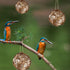 winemana Set of 3 Globe Hummingbird Nesters, Full of Bird Nesting Materials, Ideal Bird Gifts for Garden