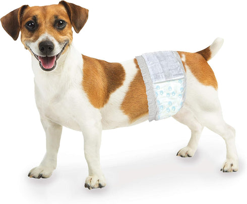 36 Count Four Paws Wee-Wee Super Absorbent Disposable Adjustable Dog Potty Training Male Wraps Diapers, Leak-Proof
