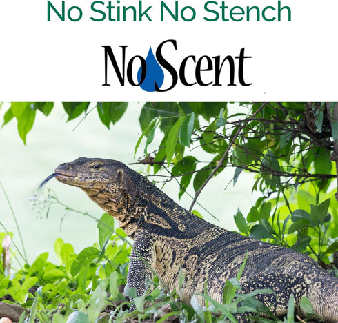 No Scent Reptile Tank Cleaner Spray & Pet Odor Management for Bearded Dragon, Turtle, Lizard (2 Fl Oz / 59 mL)