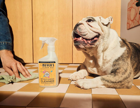 16oz Mrs. MEYER'S CLEAN DAY Pet Multi-Surface Cleaner, Orange Blossom Scent