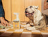 16oz Mrs. MEYER'S CLEAN DAY Pet Multi-Surface Cleaner, Orange Blossom Scent