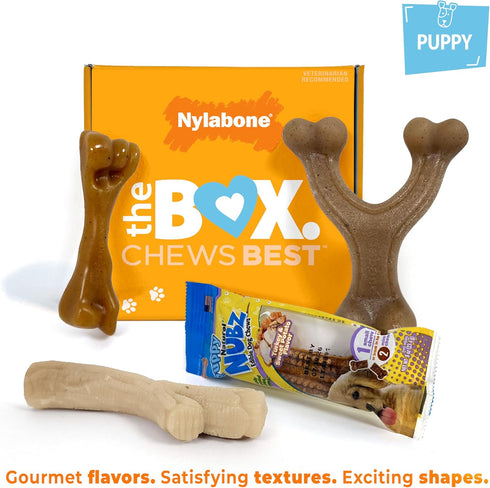 Nylabone Dog Toy Gift Box - 3 Strong Chew Toys and 1 Dog Treat, Chew Toys for Puppies, Small/Regular (4 Count)
