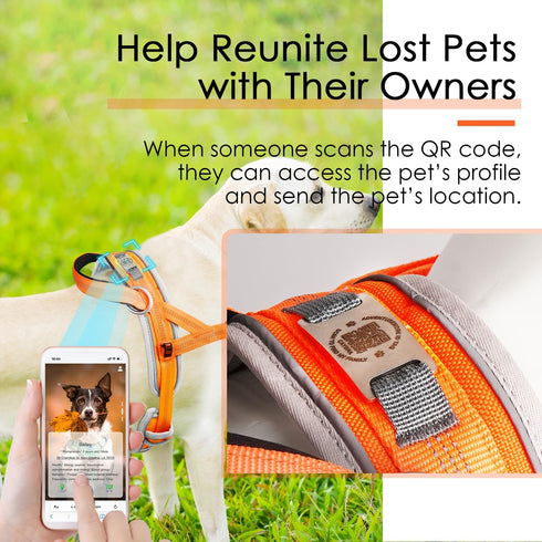 ADVENTUREMORE No Pull Large Dog Harness with QR Code Tag, Adjustable Reflective Vest for Training Walking XL