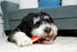 Hartz Chew 'n Clean Tuff Bone Tough Dog Chew Toy, Large, 3 Pack