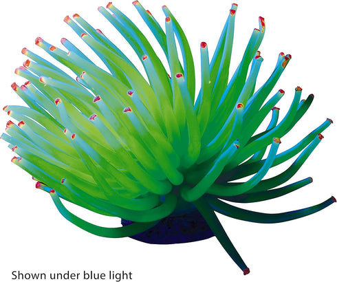 GloFish Anenome Ornaments, Fish Tank Decorations that Create a Glowing Effect.