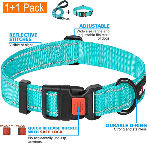 Heavy Duty Dog Leash, Comfortable Padded Handle, 5 ft Long for Small Medium Large Dogs, Blue