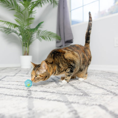 SPOT Ethical Products Lattice Balls Cat Toy, 3 Pack