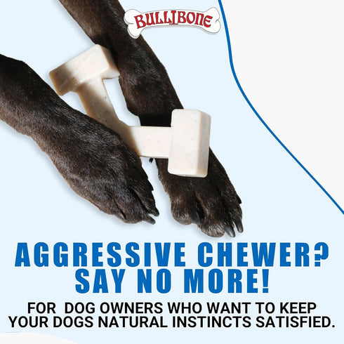 Bullibone Nylon Dog Chew Toy - Spin-a-Bone Interactive Toy that Improves Oral Health