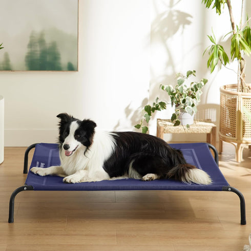Bedsure Elevated Cooling Cots Bed for Large Dogs, Portable Indoor & Outdoor Hammock with Skid-Resistant Feet, 49 inches