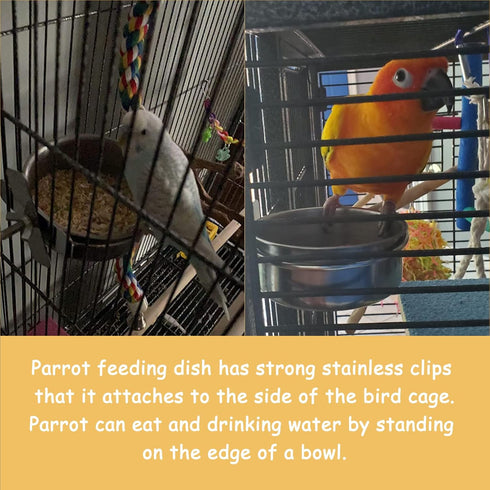 kathson 4 Pcs Stainless Steel Bowls for Birds, Parrot Feeder Dish Cups with Clamp Holder for Cockatiel Budgies Lovebird