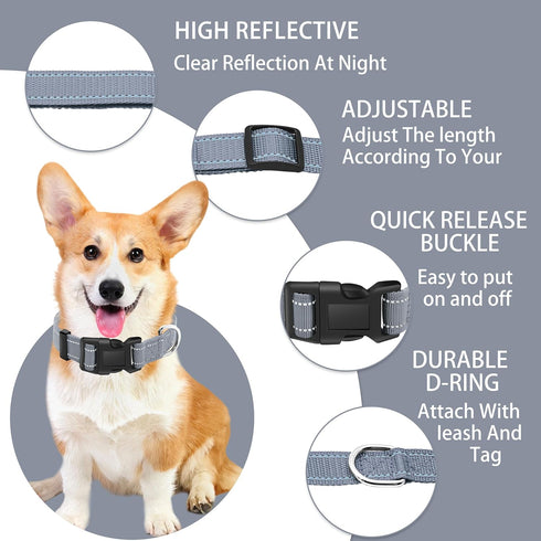 Reflective Dog Collar with Safety Locking Buckle, Adjustable Soft Breathable Nylon Collars for Small, Medium and Large Dogs(Collar+Leash XS Width 3/8" Gray)
