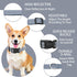Reflective Dog Collar with Safety Locking Buckle, Adjustable Soft Breathable Nylon Collars for Small, Medium and Large Dogs(Collar+Leash XS Width 3/8" Gray)