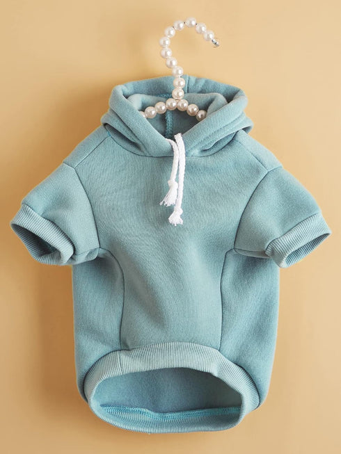 QWINEE Basic Dog Hoodie - Warm Jacket for Dogs, Cat Apparel, Dog Shirt for Small Medium Dogs (Cadet Blue, S)