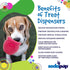 SodaPup Honey Pot - Durable Dog Treat Dispenser & Enrichment Toy, Non-Toxic Natural Rubber for Mental Stimulation