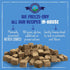 Freeze Dried Dog Food, 14 oz Bag - Chicken Recipe, All Natural Raw Dog Food, Made in USA, High in Protein