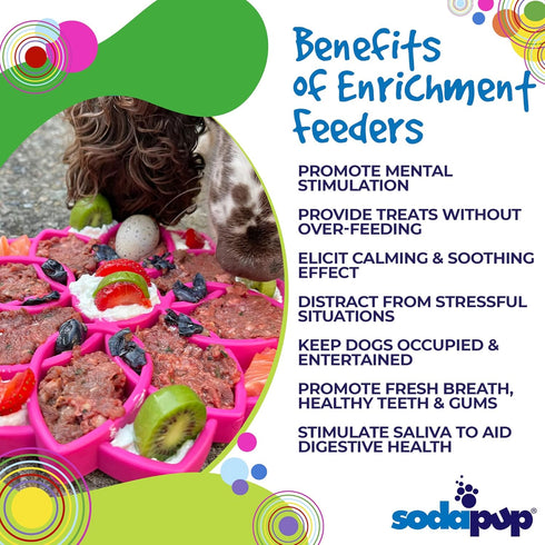 SodaPup Mandala eTray, Durable Slow Feeder Tray Made in USA for Mental Stimulation & Healthy Digestion