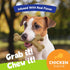Chew'ems Durable Chew Toys for Small Dogs - Long-Lasting & Flavorful Chicken-Flavored Chew Dog Toys