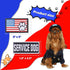 10 Pieces Service Dog Patches Ask to Do Not Pet Patch Vest Removable Tactical Pet in Training Hook and Loop Harness American Flag Patch Set (Stylish Style) by WILLBOND