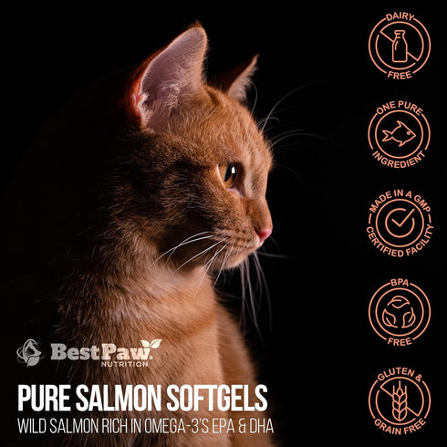 Best Paw Nutrition Pure Salmon Soft Gels for Dogs & Cats, 500mg Omega 3 Capsules Supplement