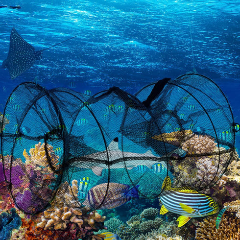 18x33cm Toyvian Collapsible Spring Cage Fish Trap and Shrimp Trap Net with Black Fine Mesh for Crab Fishing and Bait