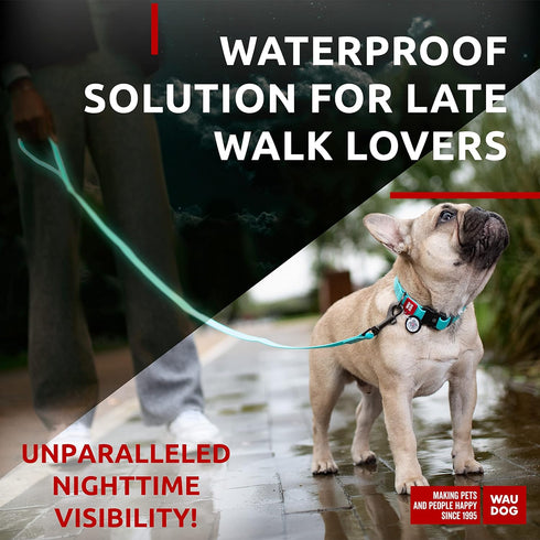 WAUDOG Waterproof Dog Leash, 4 Ft / 6 Ft, Anti-Slip for Large, Medium, Small Dogs, Heavy Duty, Water & Dirt-Resistant
