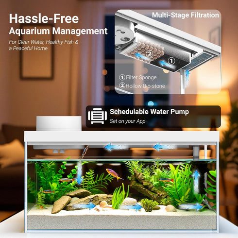 1.3 Gal Glass Desktop Fish Tank Kit with Bluetooth App Control - Automatic Feeder, RGB Lighting, Temperature Monitor