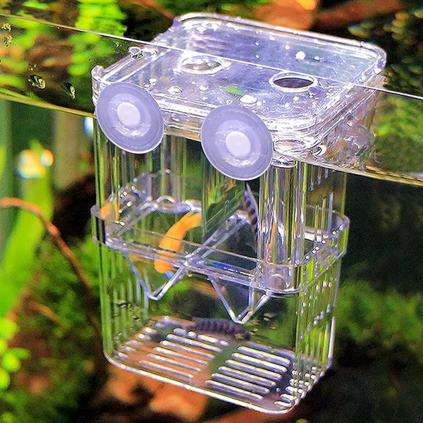 WishLotus Fish Breeding Box, Suspended Isolation Box for Fish Tank with Suction Cups