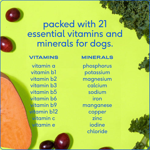 Native Pet The Daily Dog Supplement - 11 in 1 Multivitamin for Dog Health - 12 Active Ingredients, Tasty Scoop, Pet