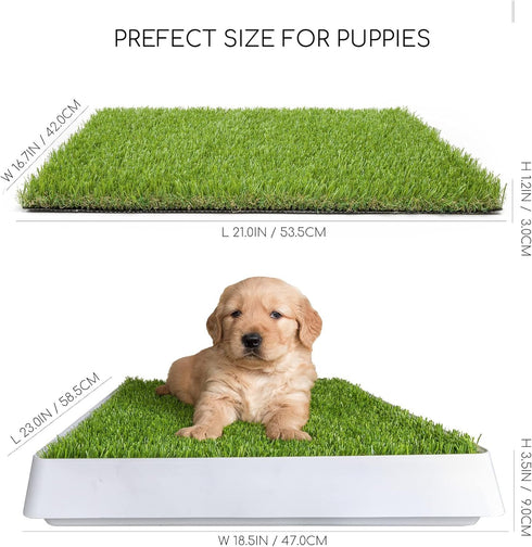 Dog Grass Pad with Tray, Indoor Portable Fake Grass Pee Pad System, Dog Litter Box for Puppy Pee Training