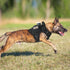 rabbitgoo Tactical Dog Harness for Large Dogs - Heavy Duty No-Pull Service Vest, Adjustable Military Harness for