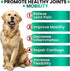(2 Pack) Hemp Hip and Joint Supplement for Dogs, Glucosamine, 340 Dog Joint Pain Relief Treats, Mobility Support
