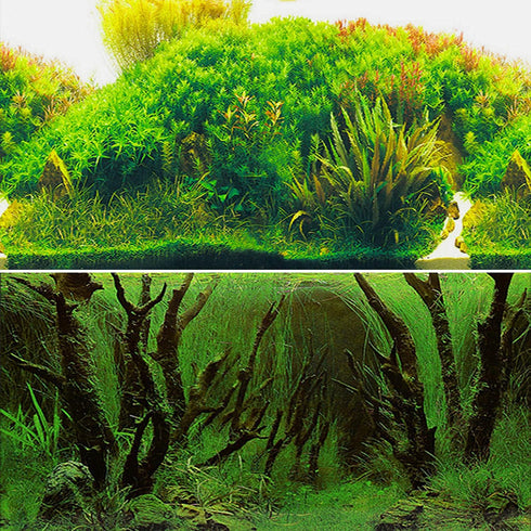 New 20" x 48" Fish Tank Background Paper, 2 Sided Colorful Seaweed Water Plants Aquarium Poster