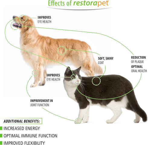 RestoraPet 1-Pack Dog & Cat Unflavored Liquid Multivitamin | Dog Arthritis Pain Relief | Hip & Joint Vitamins