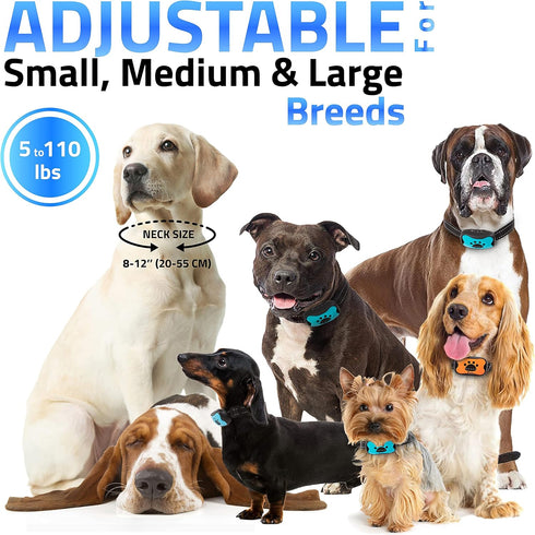 Rechargeable Anti Bark Collar - No Shock Training Dog Collar for Small Medium Large Dogs, 2 Pack Blue Orange