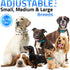 Rechargeable Anti Bark Collar - No Shock Training Dog Collar for Small Medium Large Dogs, 2 Pack Blue Orange