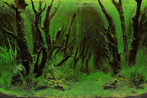 New 20" x 48" Fish Tank Background Paper, 2 Sided Colorful Seaweed Water Plants Aquarium Poster