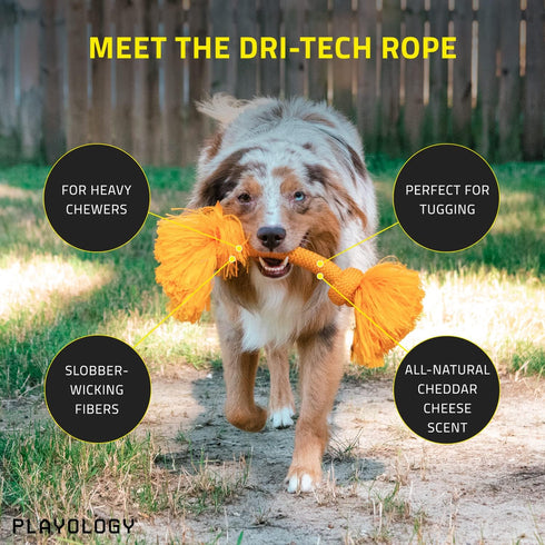Playology Dri Tech Rope Dog Chew Toy for Medium Dog Breeds (15-35lbs) - Engaging, All-Natural Cheddar Cheese Scented Dog Toys for Tough Chewers - Easy to Clean - Interactive and Non-Toxic