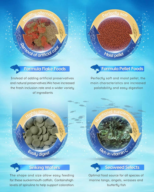 0.53 oz (15 Ocean Nutrition Shrimp Wafers - Sinking Shrimp Food for Freshwater Shrimp Tank (Neocaridina, Caridina