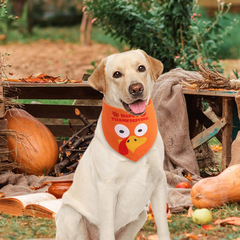 1PCS, Thanksgiving Dog Bandana Large Fall Autumn Triangle Reversible Holiday Scarf for Boy and Girl, Orange Bibs
