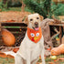 1PCS, Thanksgiving Dog Bandana Large Fall Autumn Triangle Reversible Holiday Scarf for Boy and Girl, Orange Bibs