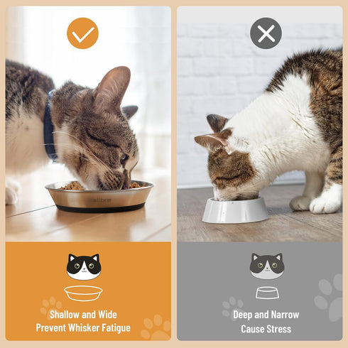 Cat Bowls, 2 Pcs Stainless Steel Bowls for Food and Water, Non-Slip Shallow Dishes for Small Dogs and Cats