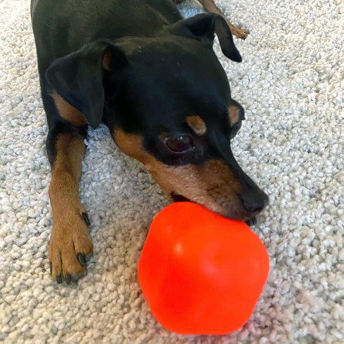 Ruff Dawg Indestructible Dawg-Cube Dog Toy, Crazy Bouncing Fetch Toy, Made in The USA, 2.5 inches