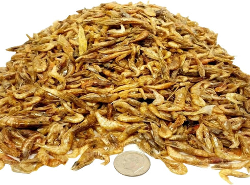 Aquatic Foods Inc. Red Shrimp - Freeze Dried Red Shrimp - 1/2" to 1&1/4" Floating