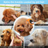2Pcs Pet Knotting Comb for Cats, Grooming Tool for Dogs, Knot Remover for Tangled and Loose Hair